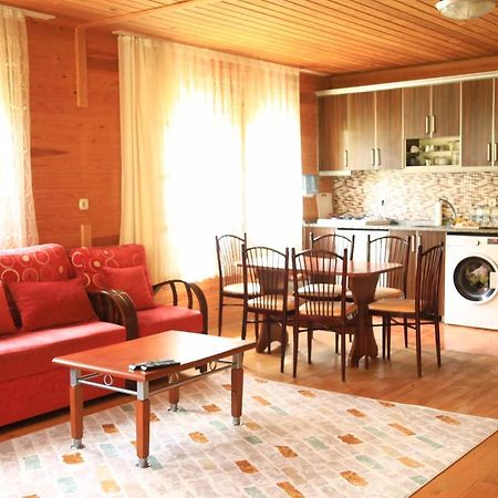 Villa Zafran Ayder Yaylasi Exteriér fotografie