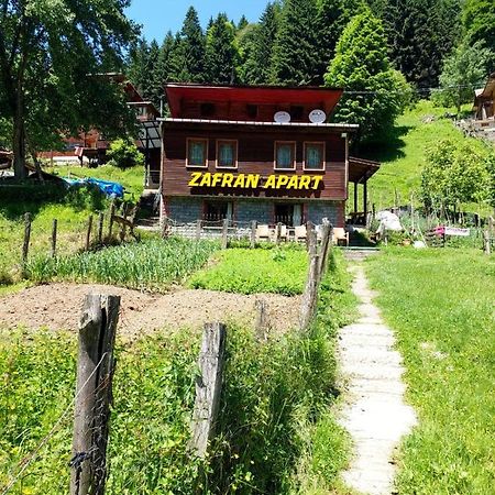 Villa Zafran Ayder Yaylasi Exteriér fotografie