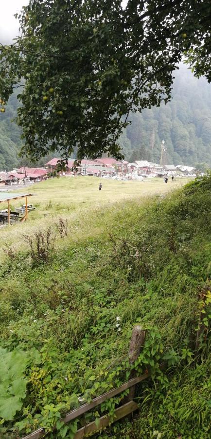 Villa Zafran Ayder Yaylasi Exteriér fotografie