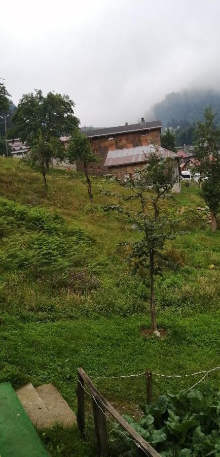Villa Zafran Ayder Yaylasi Exteriér fotografie