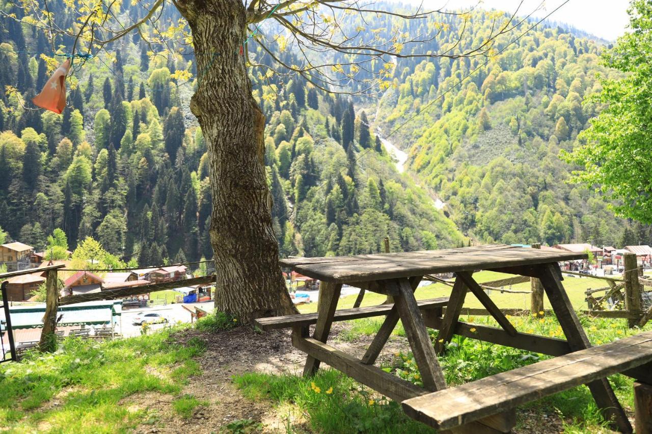 Villa Zafran Ayder Yaylasi Exteriér fotografie