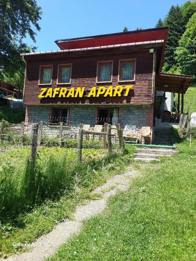 Villa Zafran Ayder Yaylasi Exteriér fotografie
