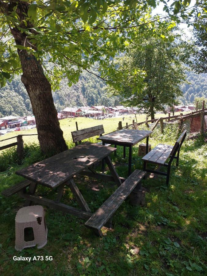 Villa Zafran Ayder Yaylasi Exteriér fotografie