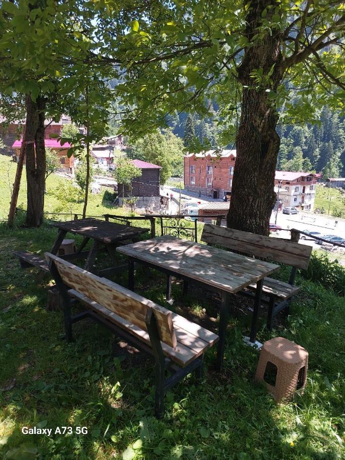 Villa Zafran Ayder Yaylasi Exteriér fotografie