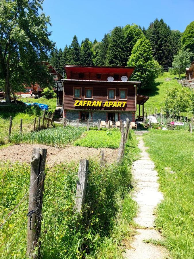Villa Zafran Ayder Yaylasi Exteriér fotografie