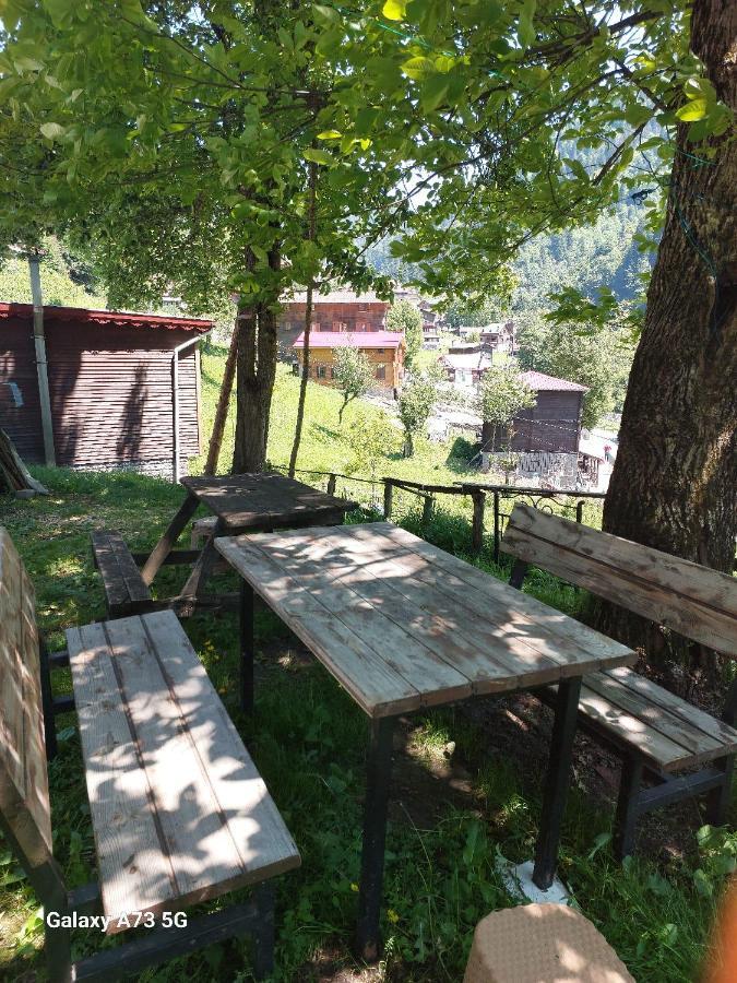 Villa Zafran Ayder Yaylasi Exteriér fotografie