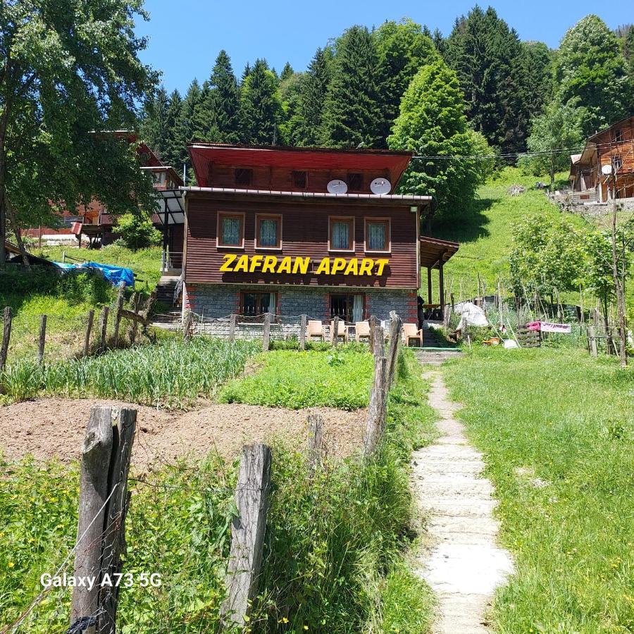 Villa Zafran Ayder Yaylasi Exteriér fotografie